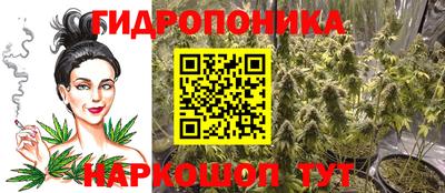 дмт Моздок