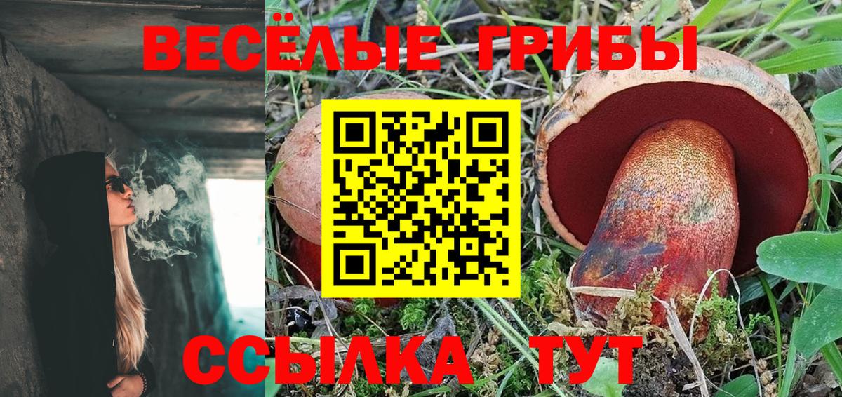 Псилоцибиновые грибы Psilocybine cubensis  Вход с VPN  Тобольск  Галлюциногенные грибы MAGIC MUSHROOMS 