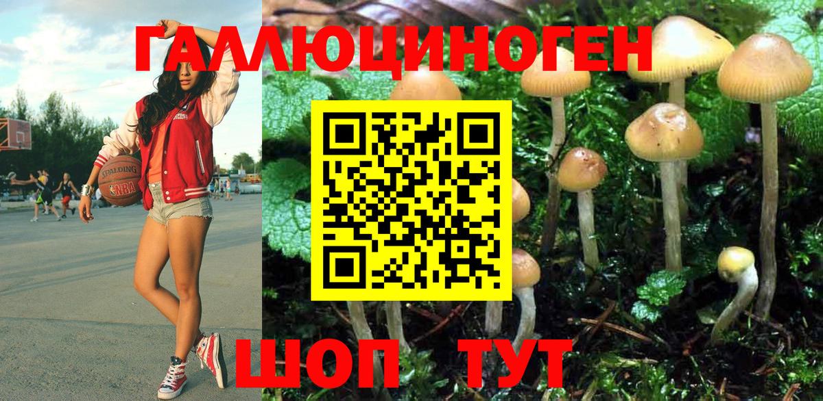 Псилоцибиновые грибы мухоморы Тобольск